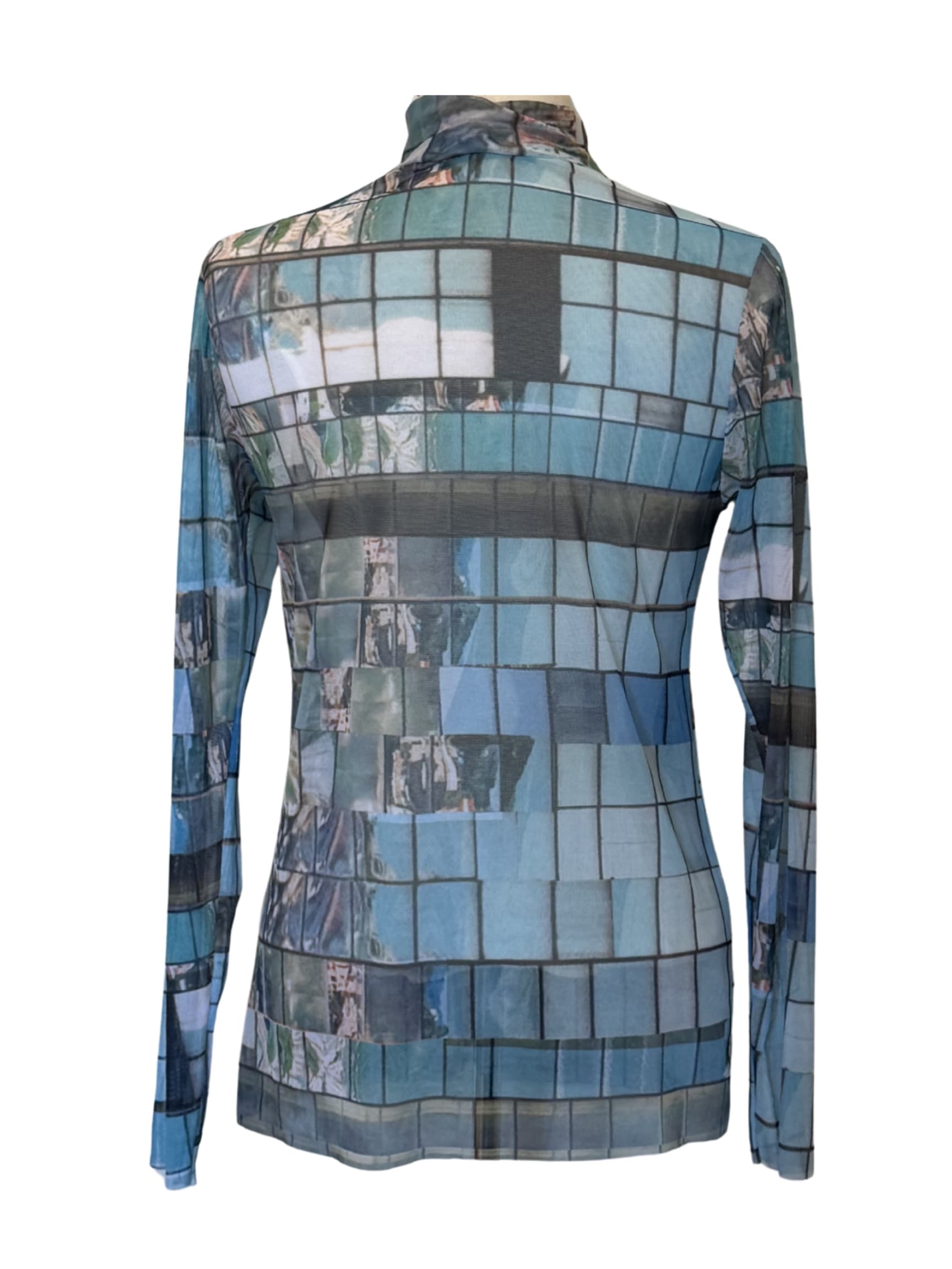 Long Sleeve Mesh Window turtle neck top 